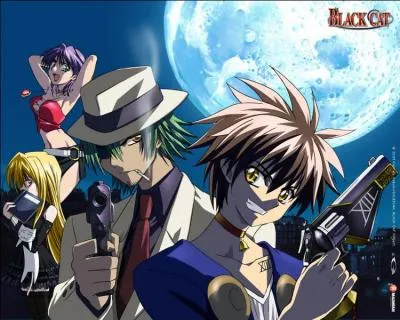 Qui est l'auteur de  Black Cat  ?