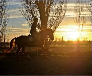 Coche deux robes avec deux couleurs mlanges (pour une robe entire).