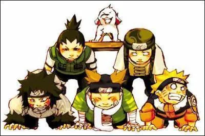 Qui est en haut de la pyramide sociale ?