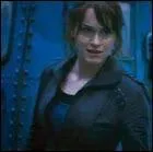 Qui est choisi pour aller chercher la Toison d'or ?