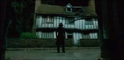 Qui a trahi Lily et James Potter le soir durant lequel ils ont été tués ?