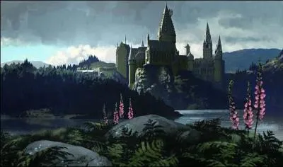 Où peut-on situer Poudlard ?