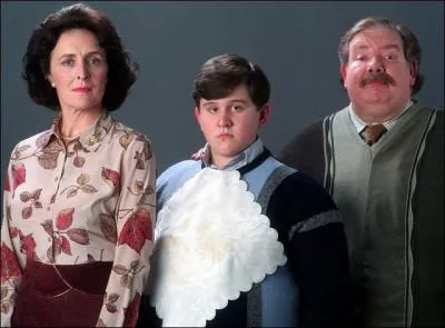 Dans combien de films apparaissent les Dursley (l'oncle, la tante et le cousin moldus d'Harry) ?
