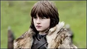 Quel acteur joue le rle de Brandon Stark ?
