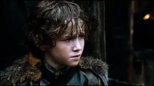 Quel acteur joue le rle de Rickon Stark ?