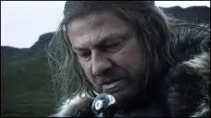 Quel acteur joue le rle de Eddard Stark ?