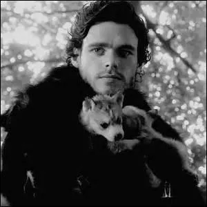 Quel acteur joue le rle de Robb Stark ?