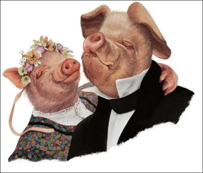 Comment s'appelle l'amoureuse du verrat ?