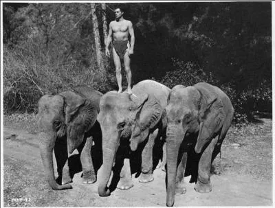 Quel est le nom de ce personnage cr par Edgar Rice Burroughs en ... 1912 ?