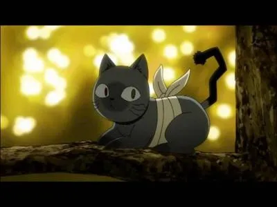 De quel manga vient ce chat ?