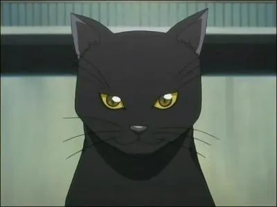 Dans quel manga voit-on ce chat noir ?
