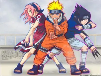 De qui est compose l'quipe de Naruto ?