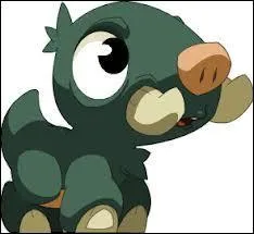 Quel est le nom du foreur de Ruek ?