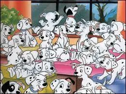 De quelles couleurs sont les 101 dalmatiens ?