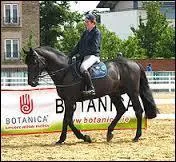 Quelle est cette race ?