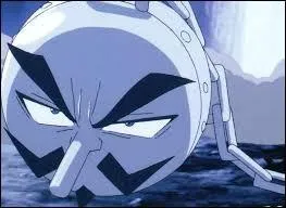 Combien de pierres magiques peut-on mettre sur Babbo ?