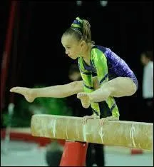 A quelle gymnaste appartient le site Gymsport ?