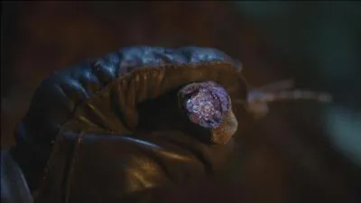 Comment s'appelle la plante qui permet de vaincre ses plus grandes peurs ?