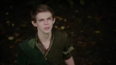 Qu'apprend-on sur Peter Pan ?