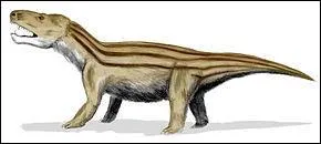 C'tait un animal froce de la taille d'un loup, qui mesurait entre 1 et 2 m de long. Il pouvait ouvrir trs grande sa mchoire garnie d'incisives coupantes  l'avant, de canines pointues et de dents broyeuses  l'arrire.