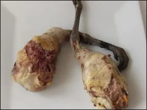 Ce sont des cuisses de :