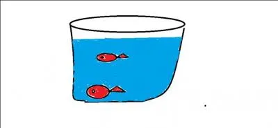 Quelle est cette image ?