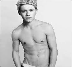 Que fait Niall avant de commencer  chanter ?