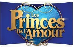 Qui diffuse la srie  Les princes de l'amour  ?