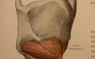 Quiz Anatomie