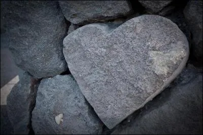 L'expression "cur de pierre" s'emploie pour exprimer :