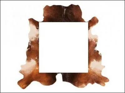 La partie centrale appelée "cur" est prélevée par les artisans travaillant le cuir, les ----- en raison de la qualité essentielle de cette partie : l' / le ----.