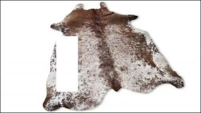 Comment se nomme cette deuxime partie que j'ai prleve ? Je peux d'ailleurs en faire autant de l'autre ct.