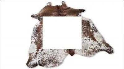 Quel nom donne-t-on  la partie centrale de la peau, celle sur laquelle vous vous allongez le plus souvent ?