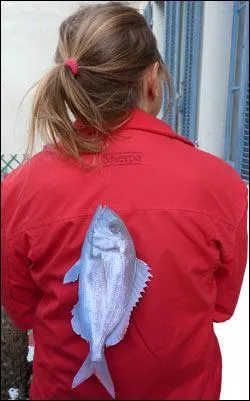 Pourquoi le 1er avril est-il attaché au poisson et à une journée un peu "folle" ?