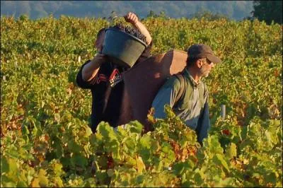 Qu'est-ce qui a lieu à la fin du mois (septembre) en Alsace, mais avant ou après dans d'autres régions ?
