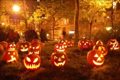 Quelle plante est généralement associée à la fête d'Halloween, le 31 octobre ?