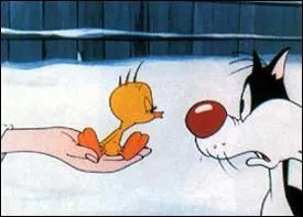 Qui se prénomme "Sylvestre" dans un célèbre dessin animé et dont la fête tombe le dernier jour de l'année ?