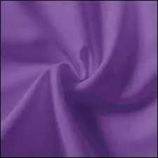 Quelle est cette couleur ? Je suis aussi une fleur