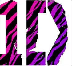 Qui a imagin� le nom du groupe ?