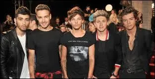 Quelles r�compenses ont-ils remport�es lors des NRJ Music Awards 2014 ?