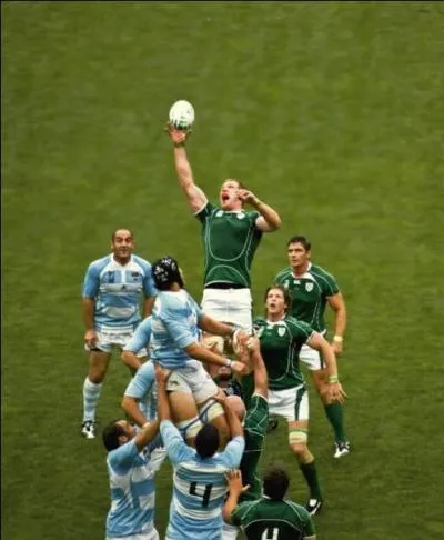Quel est le symbole de l'quipe nationale irlandaise de rugby ?