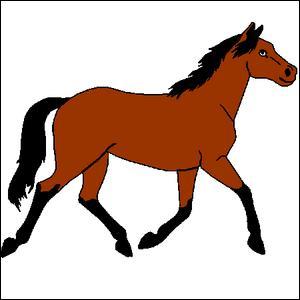 Quelle est la couleur de ce cheval ?