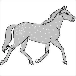 Quelle est la couleur de ce cheval ?