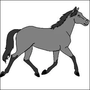 Quelle est la couleur de ce cheval ?