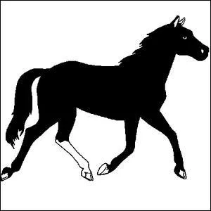 Quelle est la couleur de ce cheval ?