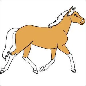 Quelle est la couleur de ce cheval ?