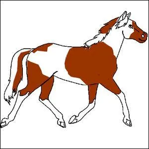 Quelle est la couleur de ce cheval ?