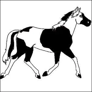 Quelle est la couleur de ce cheval ?