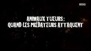 Quel animal tue le plus d'humains par an ?