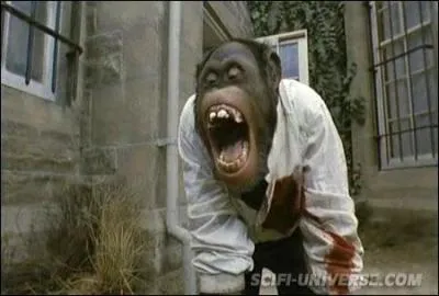 Qui est le ralisateur de ce film ?